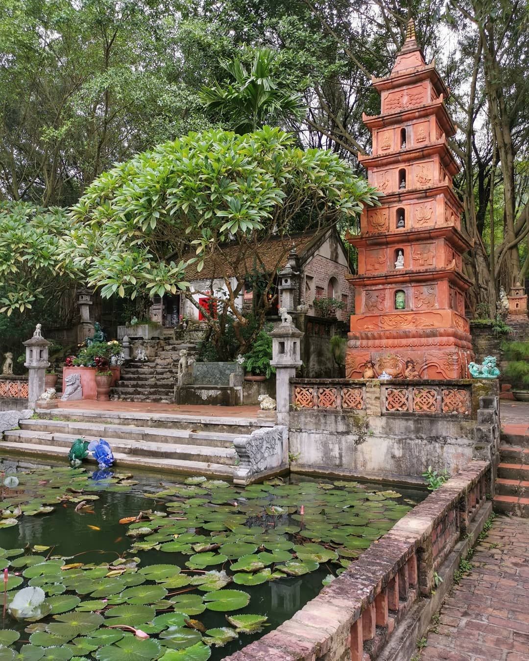 viet phu thanh chuong soc son