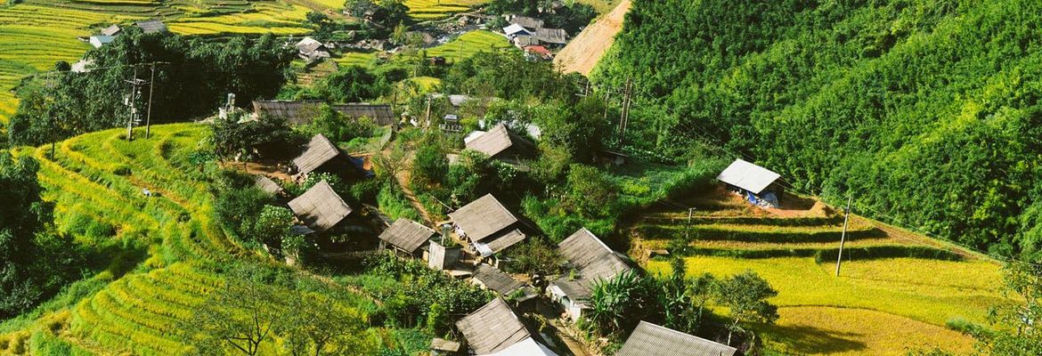 căn nhà gỗ homestay