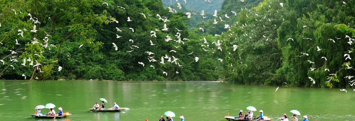 vuon chim thung nham trang an ninh binh