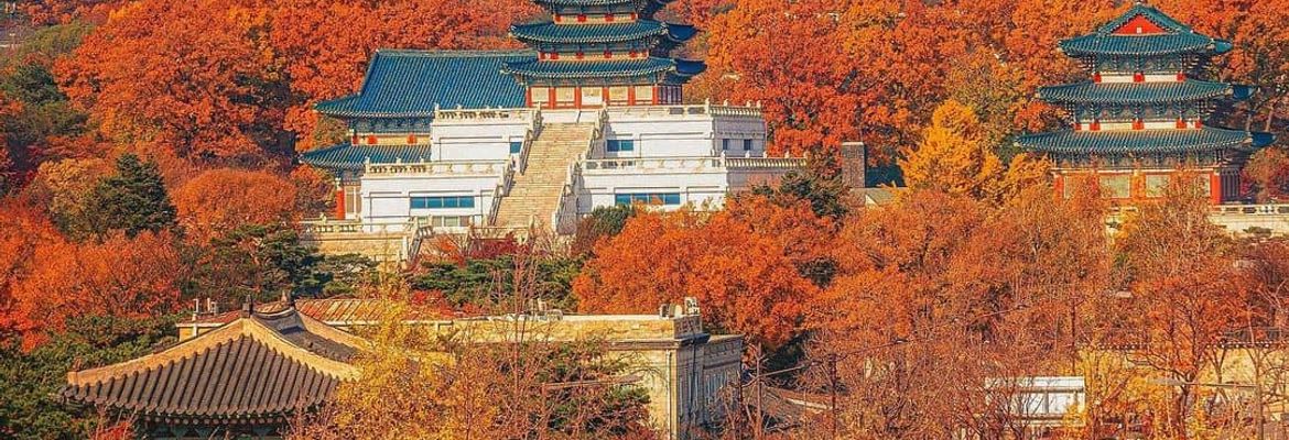 justfly bao tang dan gian quoc gia seoul han quoc