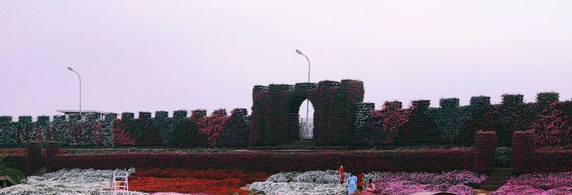 thung lung hoa ho tay ha noi 