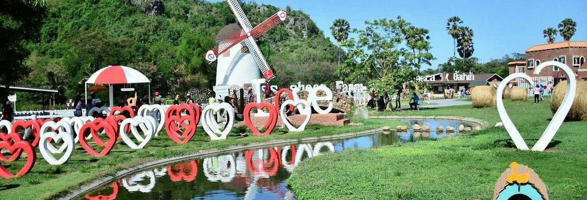 swiss sheep farm thailand