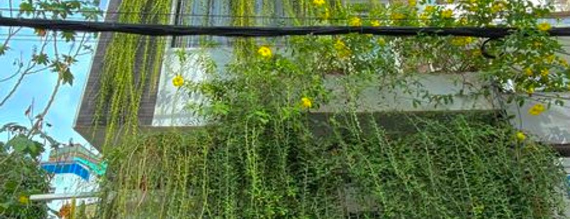 justfly 38 nguyen hien tran duy villa vung tau