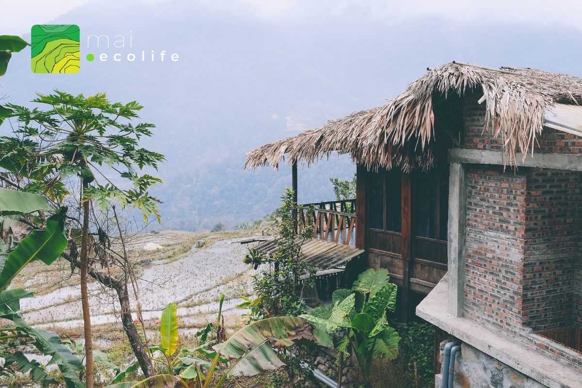 Mai Ecolife The Swing - Ảnh 3