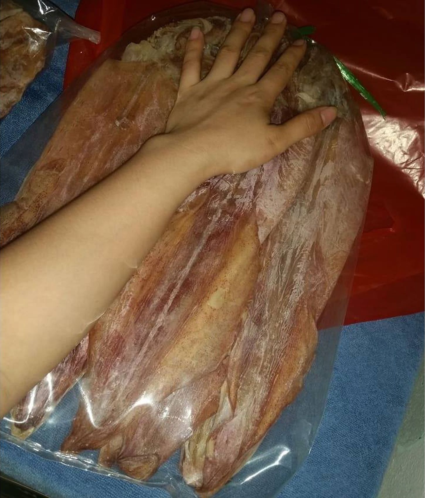Cat Ba dried squid is large