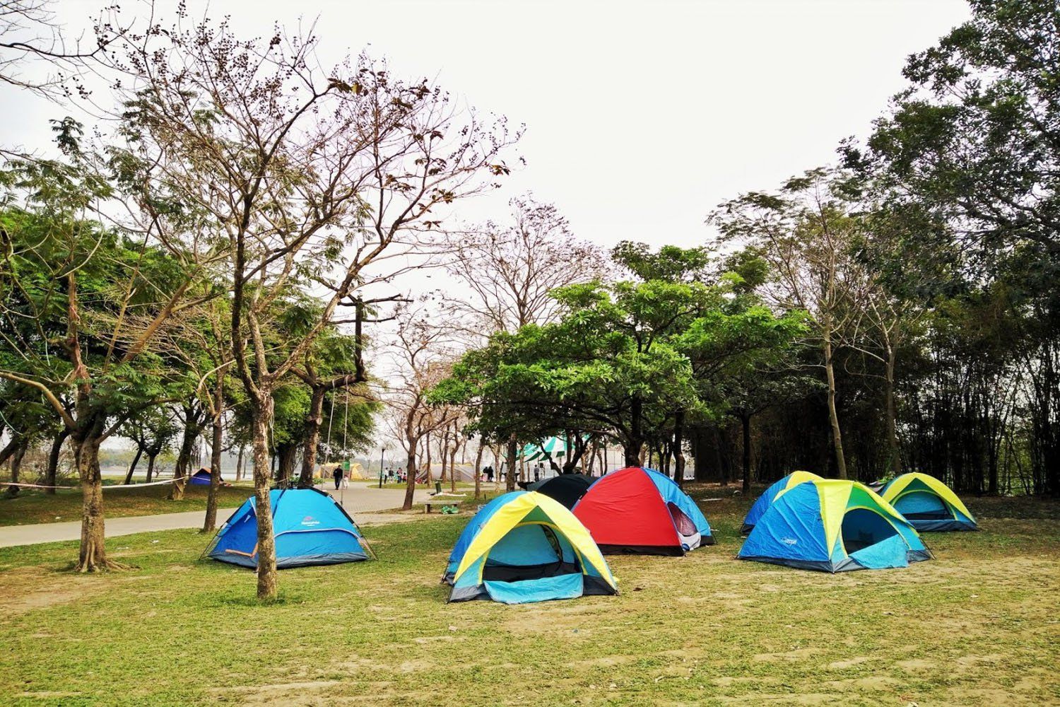 Cắm trại, dã ngoại, picnic