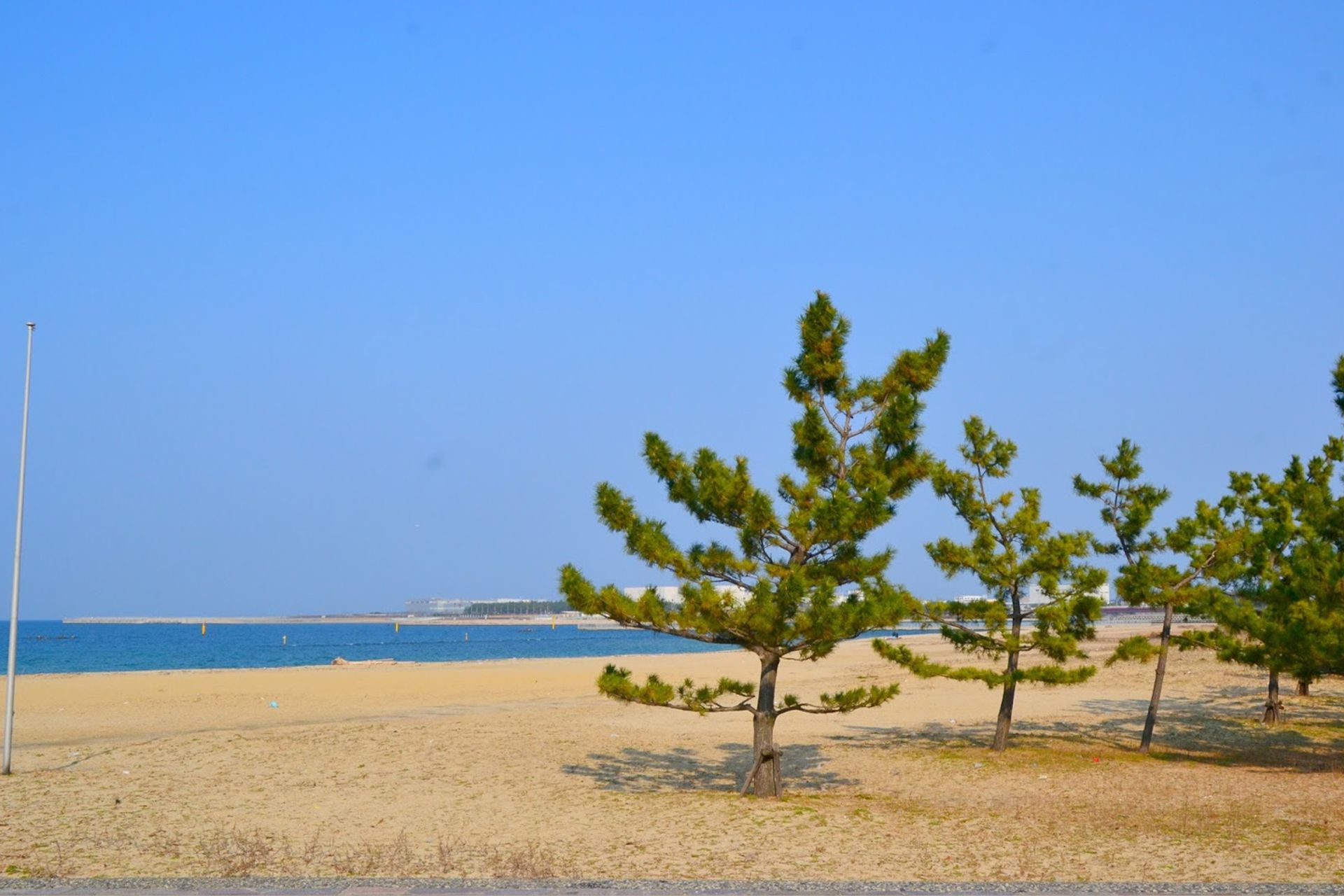 Bãi biển Nishikinohama