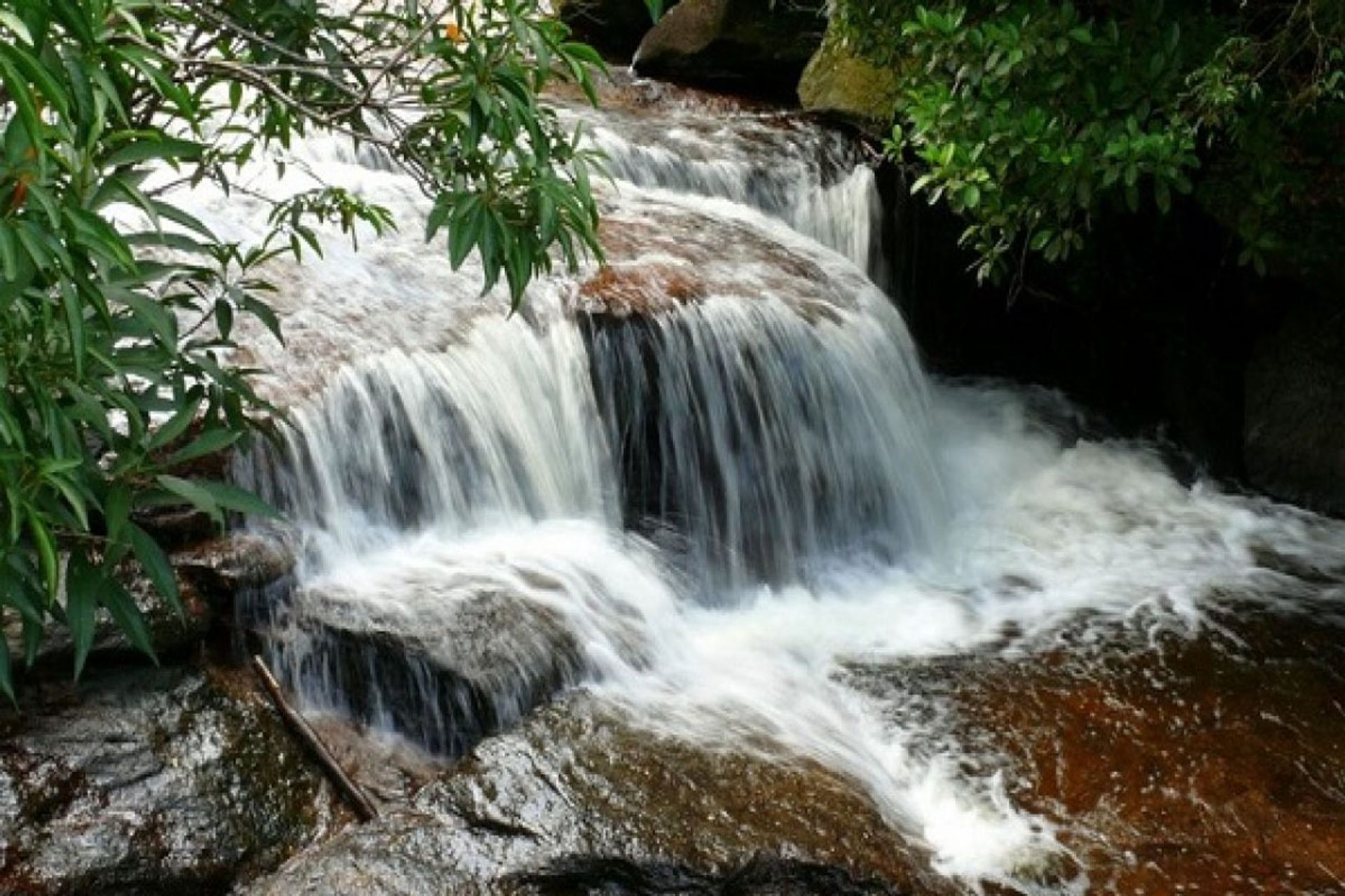 Suối Đá Bàn, suối Đá Ngọn