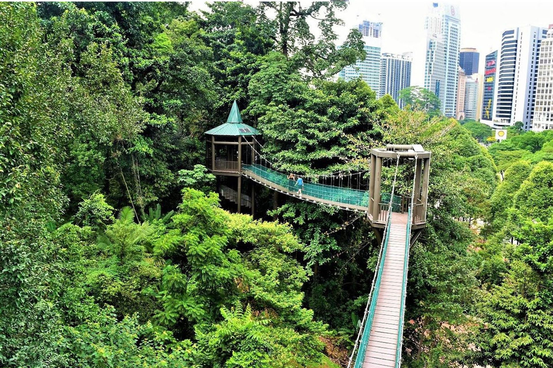     Công viên sinh thái rừng Kuala Lumpur