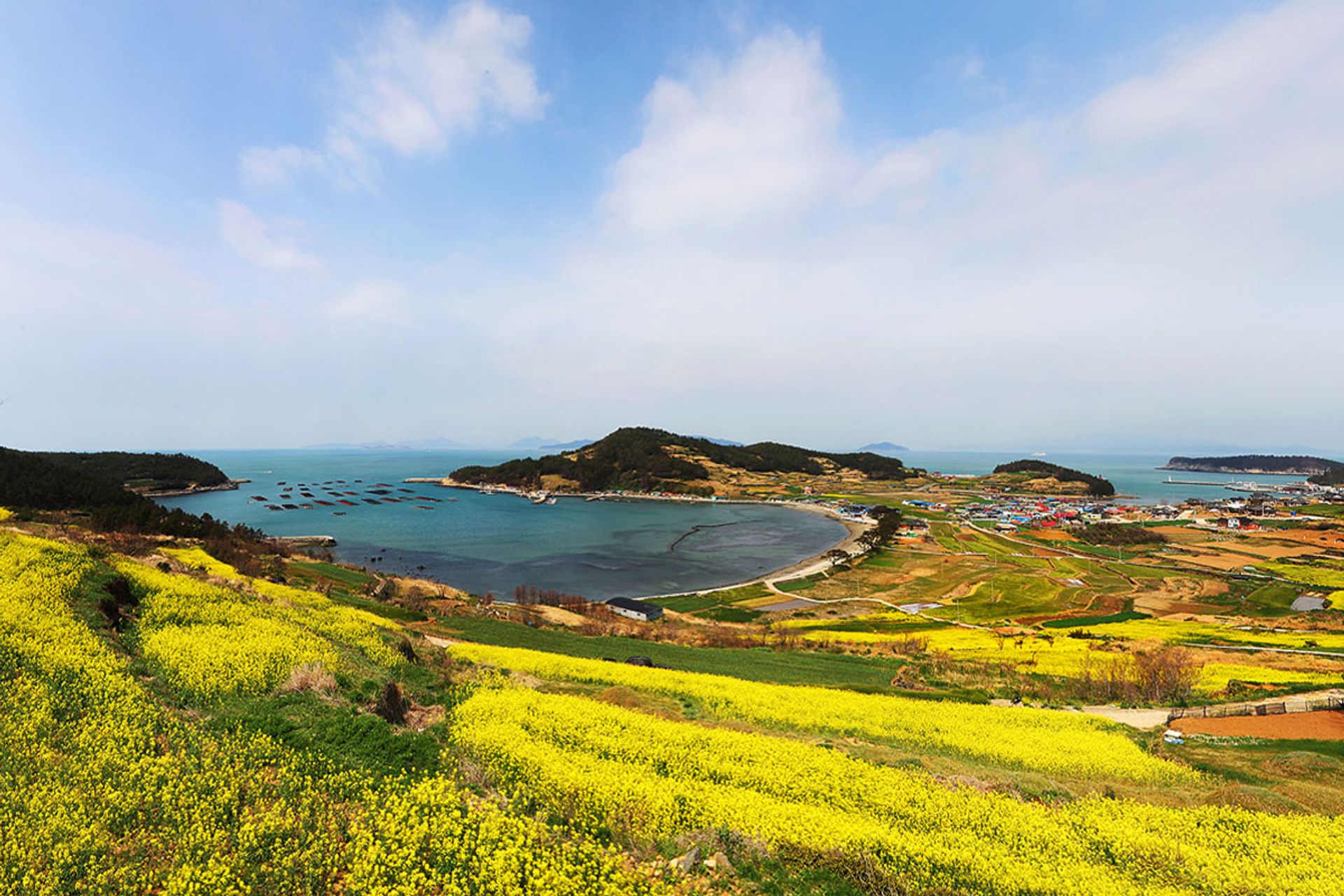 Đảo Cheongsando