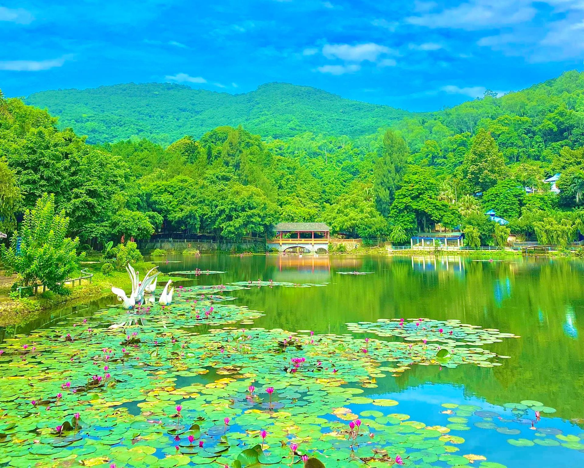 King's Pond tourist area in Ha Noi