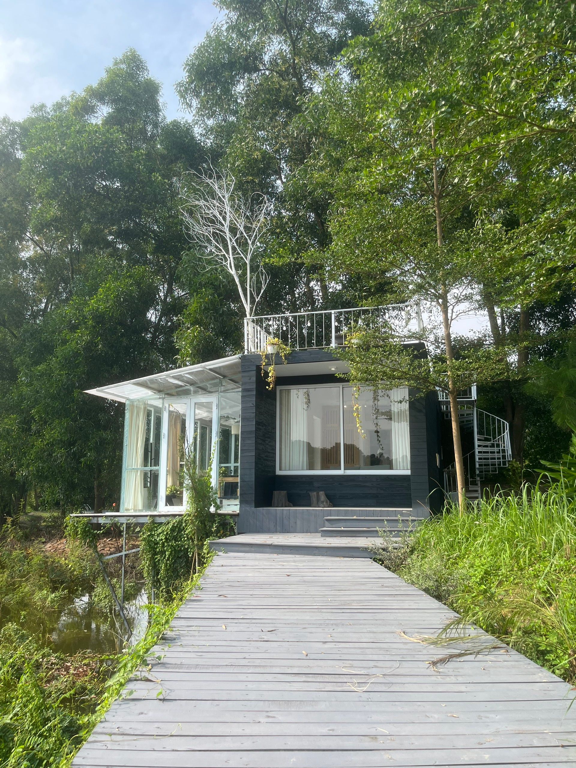 Discover Lime Homestay: Cozy Stay with Local Charm