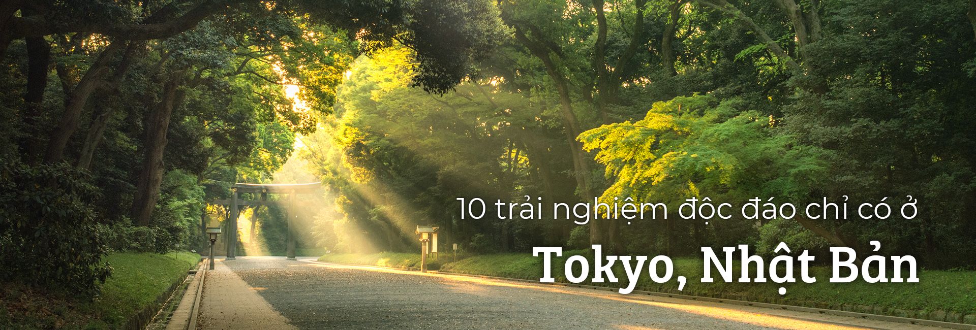 10 trải nghiệm độc đáo chỉ có ở Tokyo, Nhật Bản