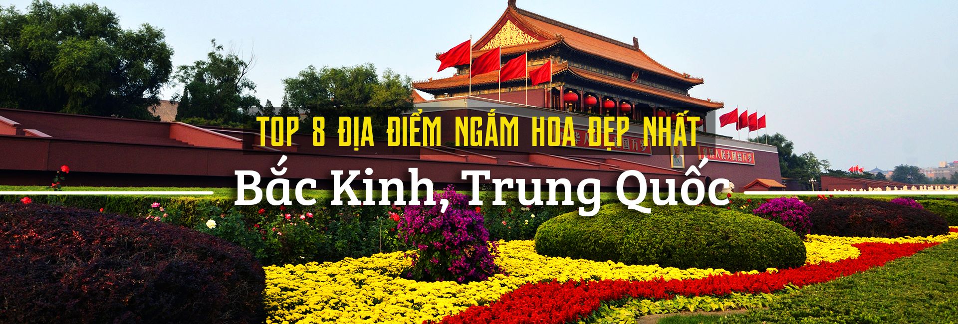 Top 8 địa điểm ngắm hoa đẹp nhất Bắc Kinh, Trung Quốc