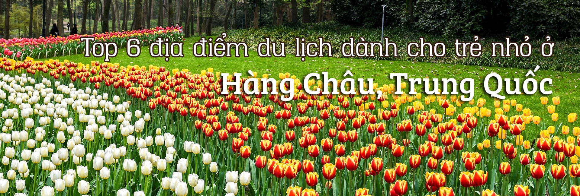 Top 6 địa điểm du lịch dành cho trẻ nhỏ ở Hàng Châu, Trung Quốc