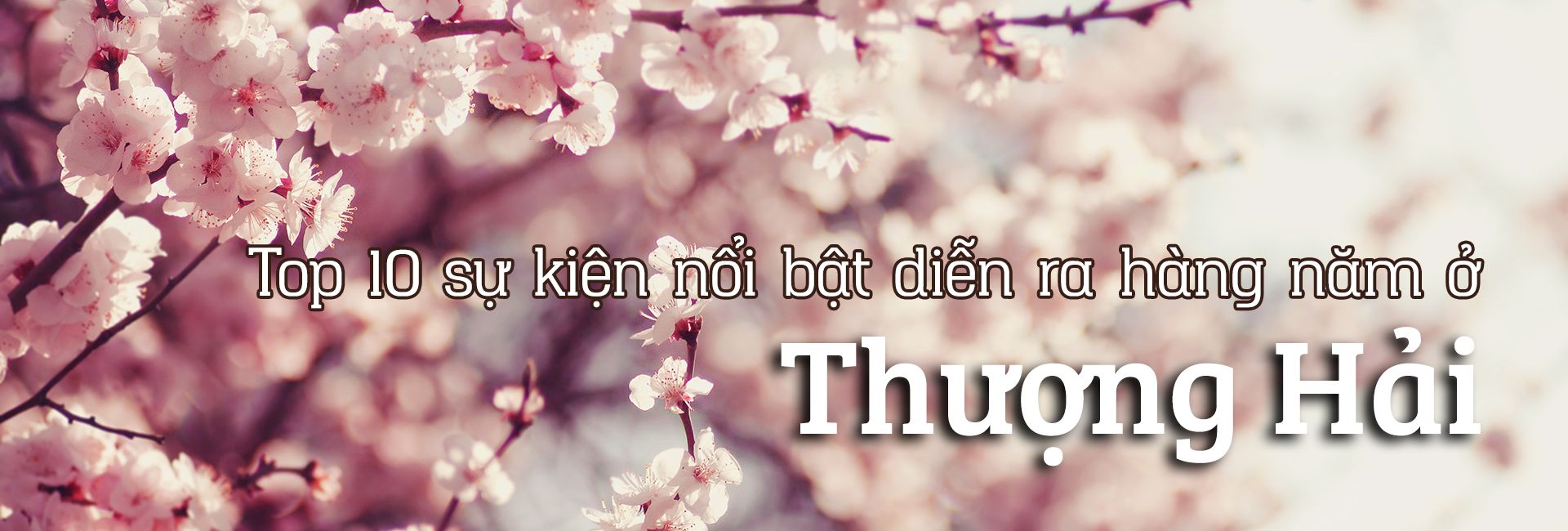 Top 10 sự kiện nổi bật hàng năm ở Thượng Hải