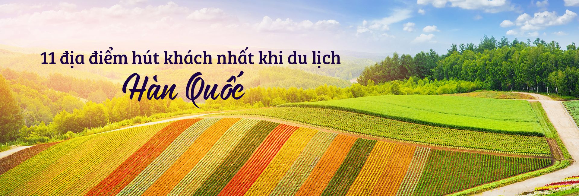 Top 11 địa điểm du lịch hấp dẫn nhất Nhật Bản