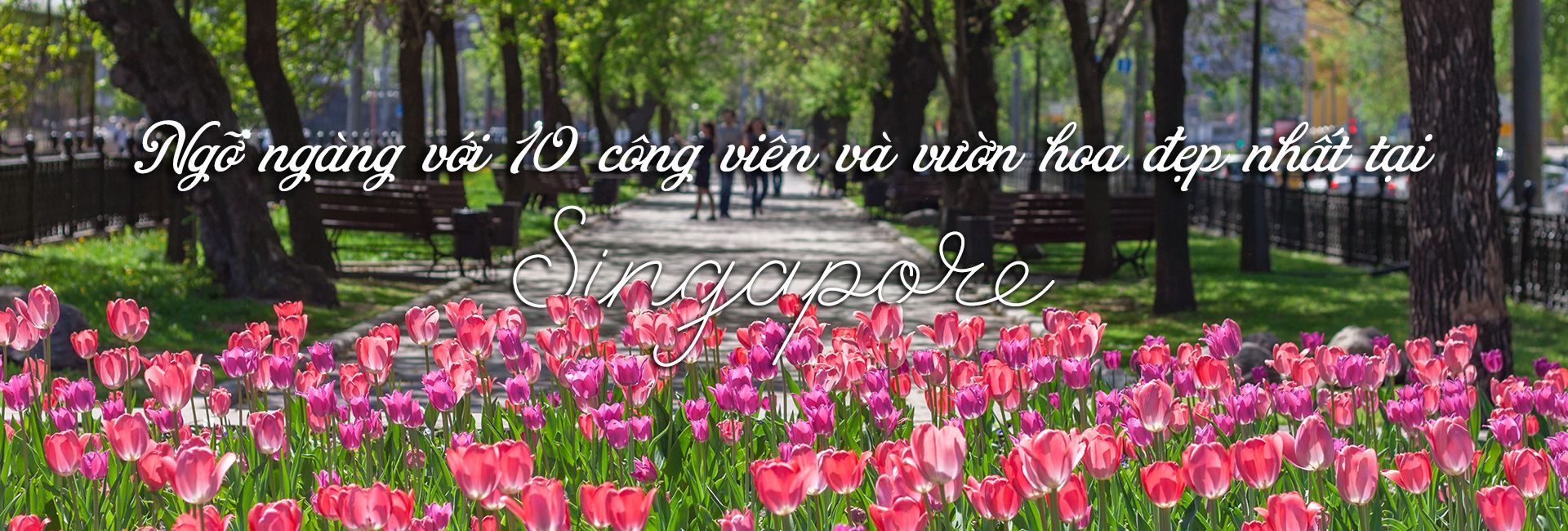 Top 10 công viên và vườn hoa đẹp nhất Singapore