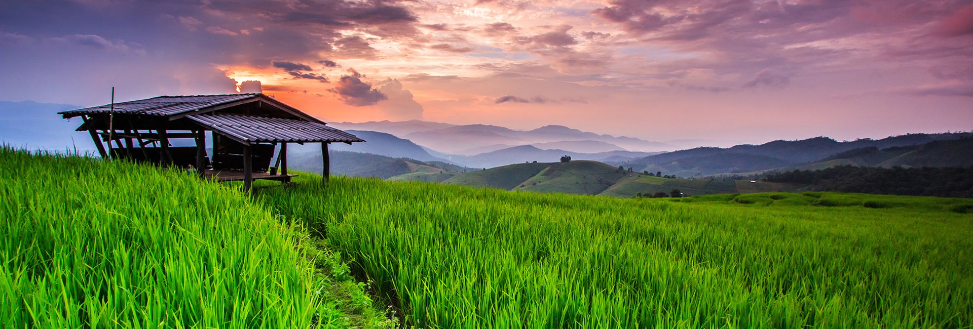 Top 11 địa điểm du lịch ở miền Bắc Thái Lan