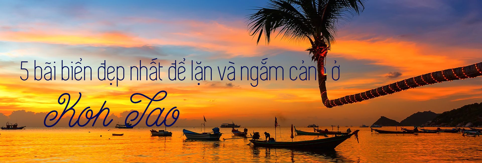 5 bãi biển đẹp nhất để lặn ngắm cảnh ở Koh Tao, Thái Lan