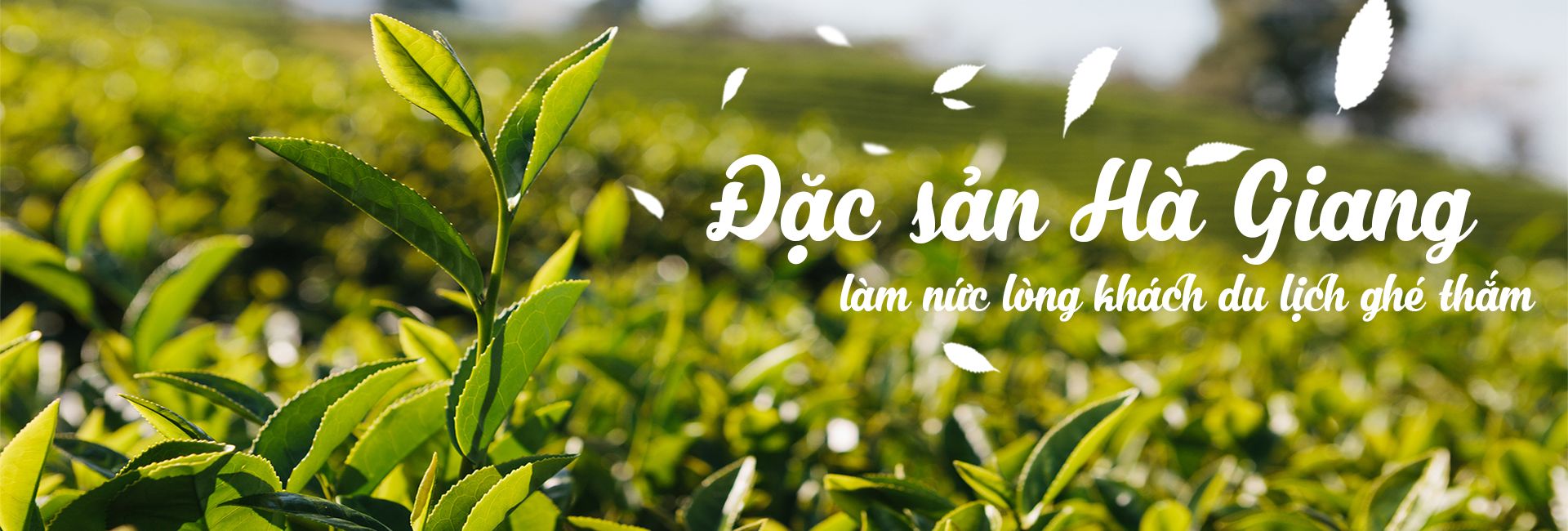 Đặc sản Hà Giang làm nức lòng khách du lịch ghé thăm