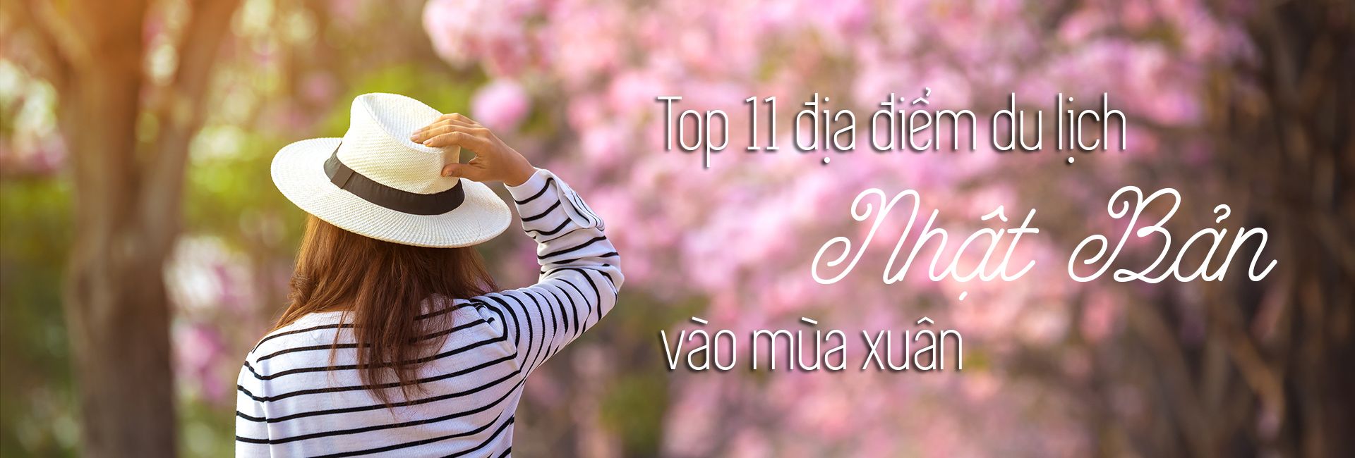 Top 11 địa điểm du lịch Nhật Bản vào mùa xuân