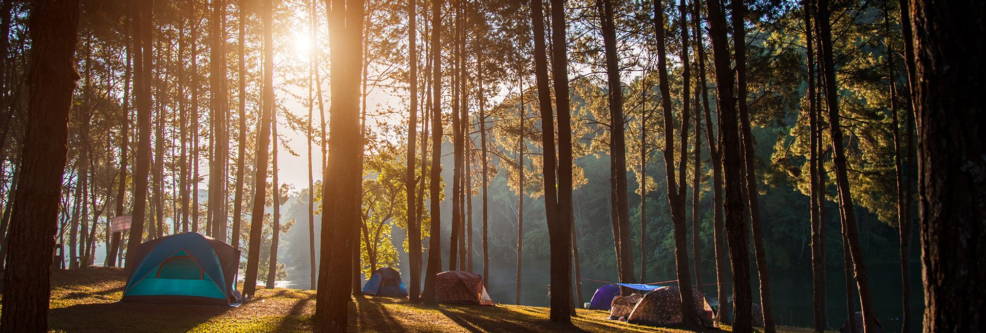 Sơn Tinh Camp - Điểm dã ngoại cuối tuần hấp dẫn