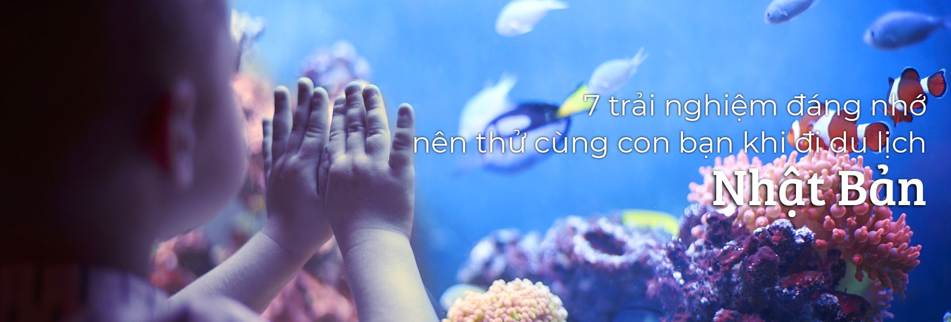 Top 7 trải nghiệm đáng nhớ khi du lịch Nhật Bản cùng trẻ nhỏ