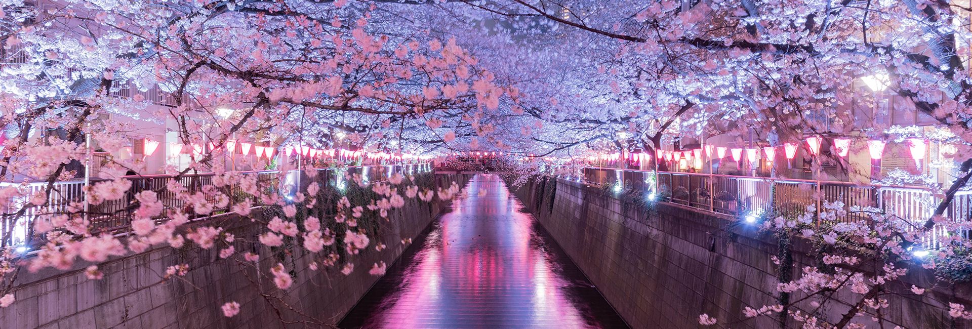 Top 10 địa điểm tham quan hàng đầu ở Meguro, Tokyo