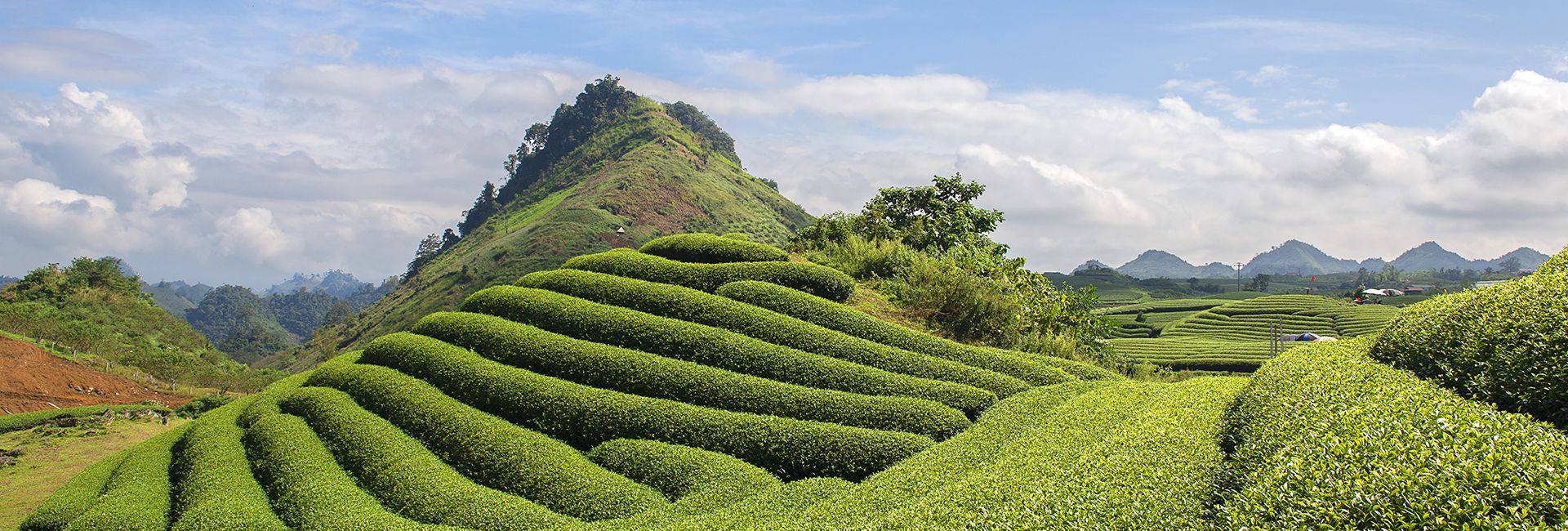 Kinh nghiệm du lịch Mộc Châu, Sơn La