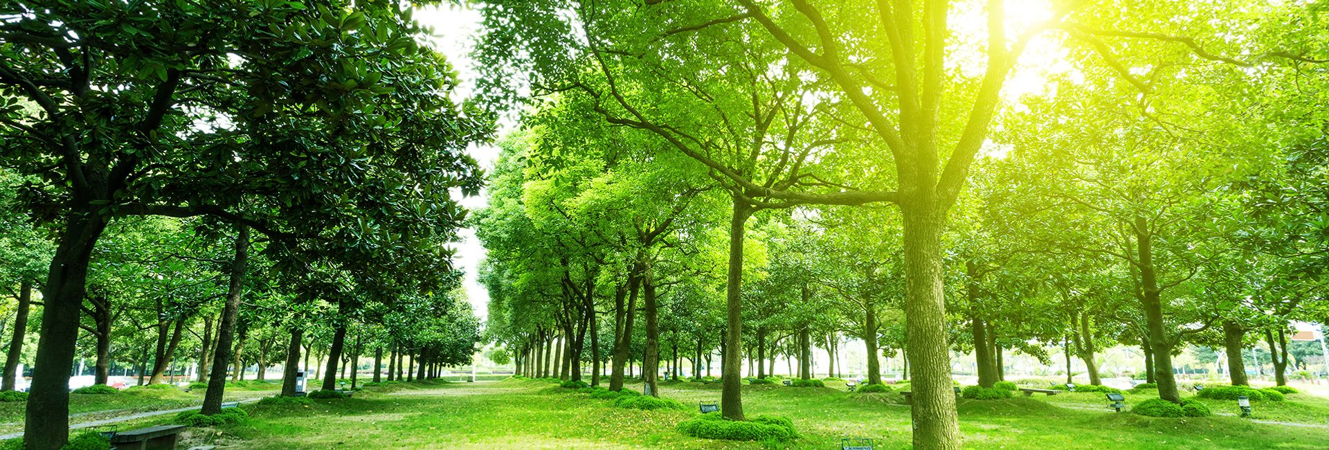 Top 5 công viên xinh đẹp nhất Busan, Hàn Quốc