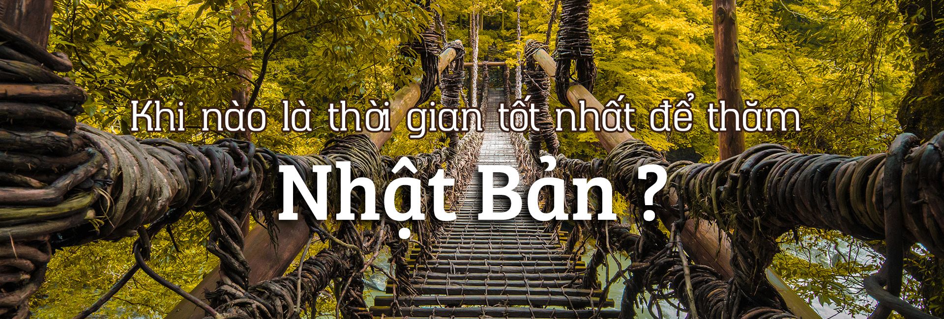 Nên đi du lịch Nhật Bản vào thời điểm nào trong năm?