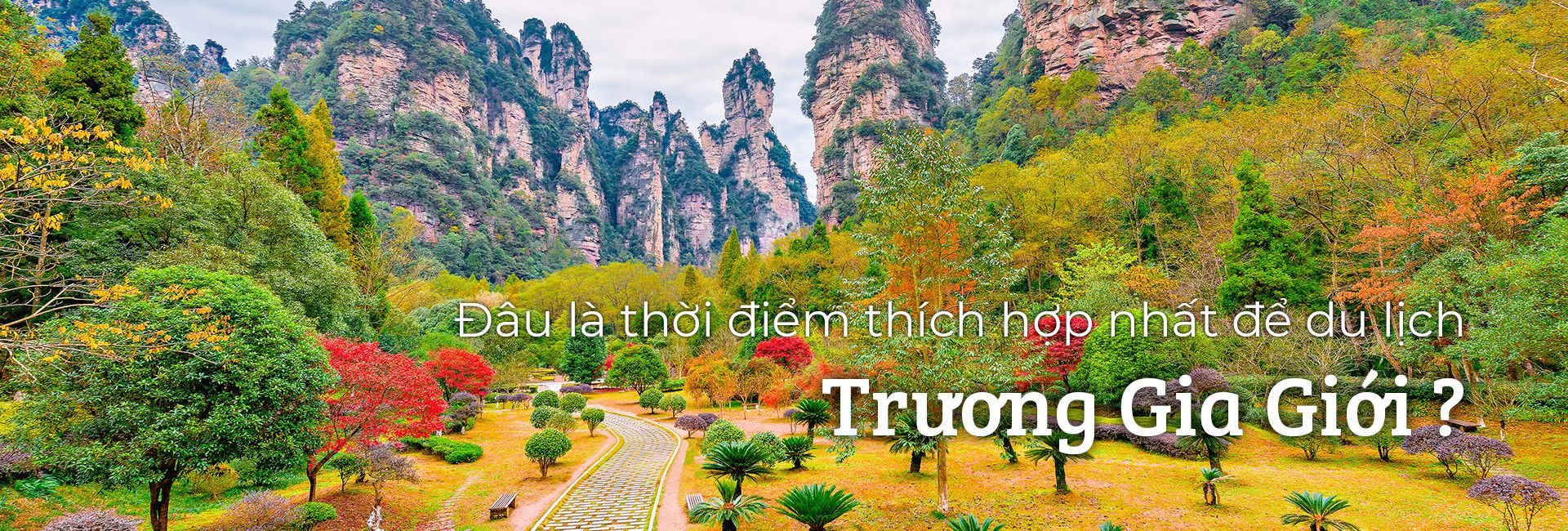 Du lịch Trương Gia Giới thời điểm nào trong năm?