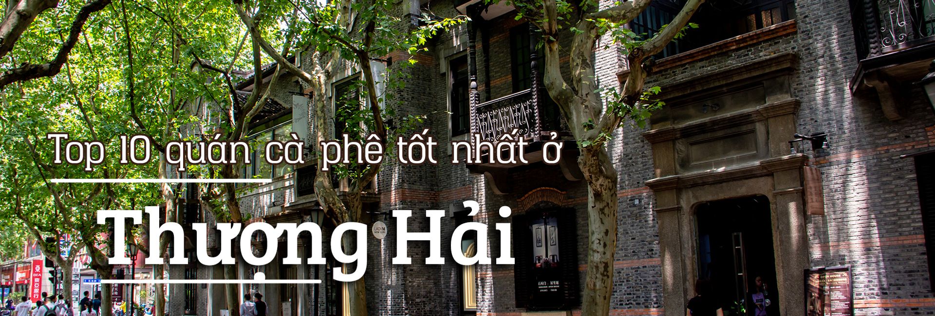 Top 10 quán cà phê tốt nhất ở Thượng Hải, Trung Quốc
