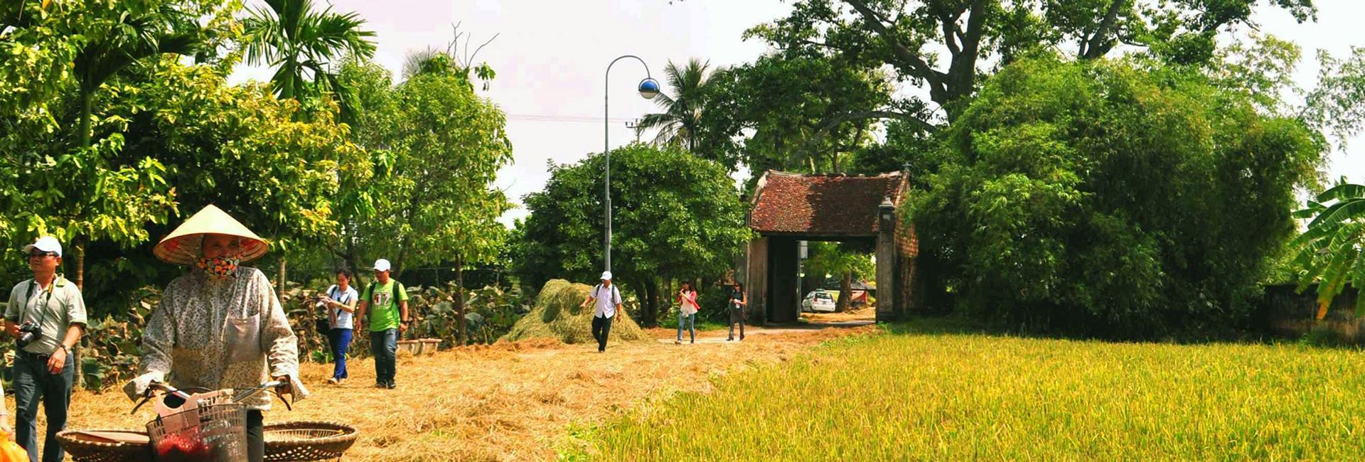 Làng cổ đường Lâm - Hướng dẫn du lịch chi tiết nhất