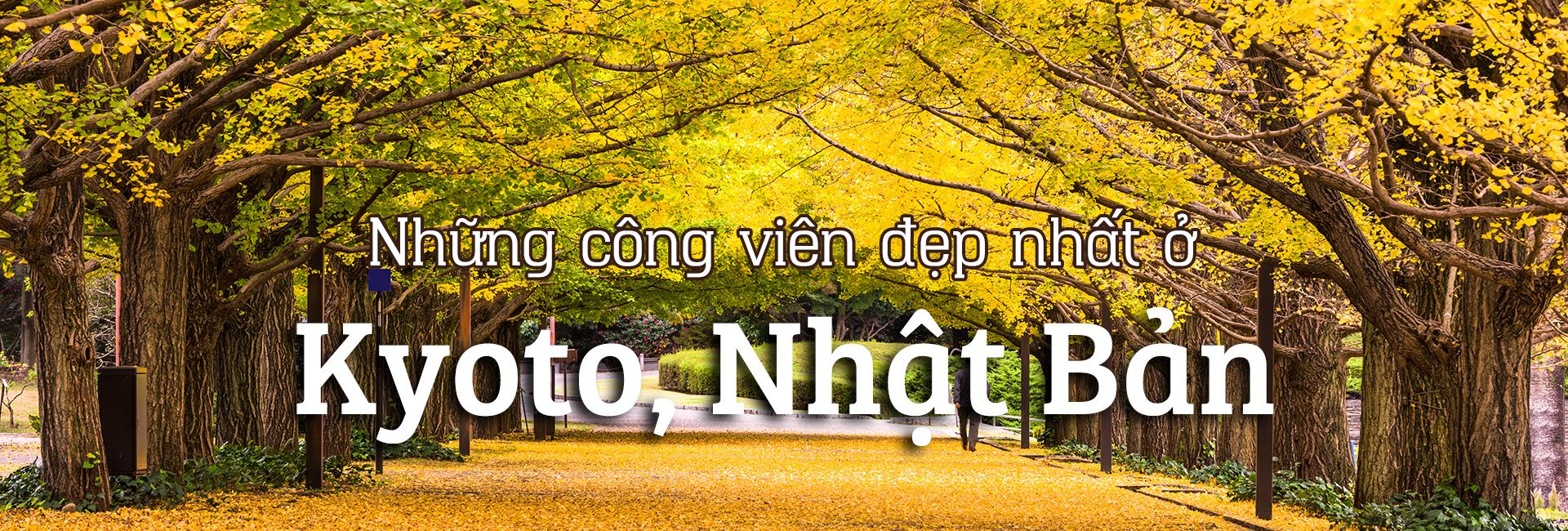 Top 8 địa điểm thiên nhiên đẹp nhất ở Kyoto, Nhật Bản