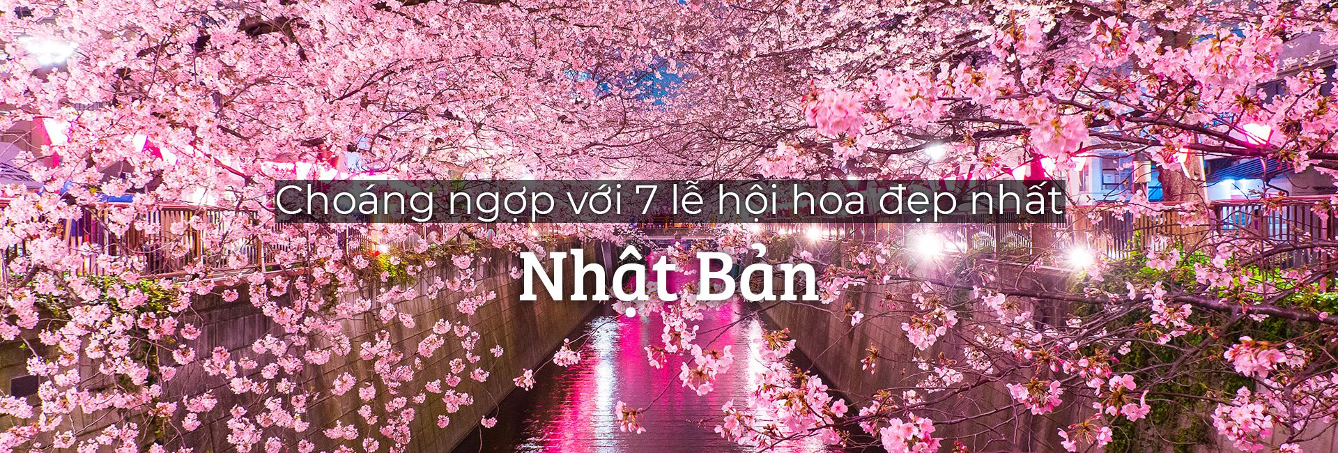 Choáng ngợp với top 7 lễ hội hoa đẹp nhất Nhật Bản