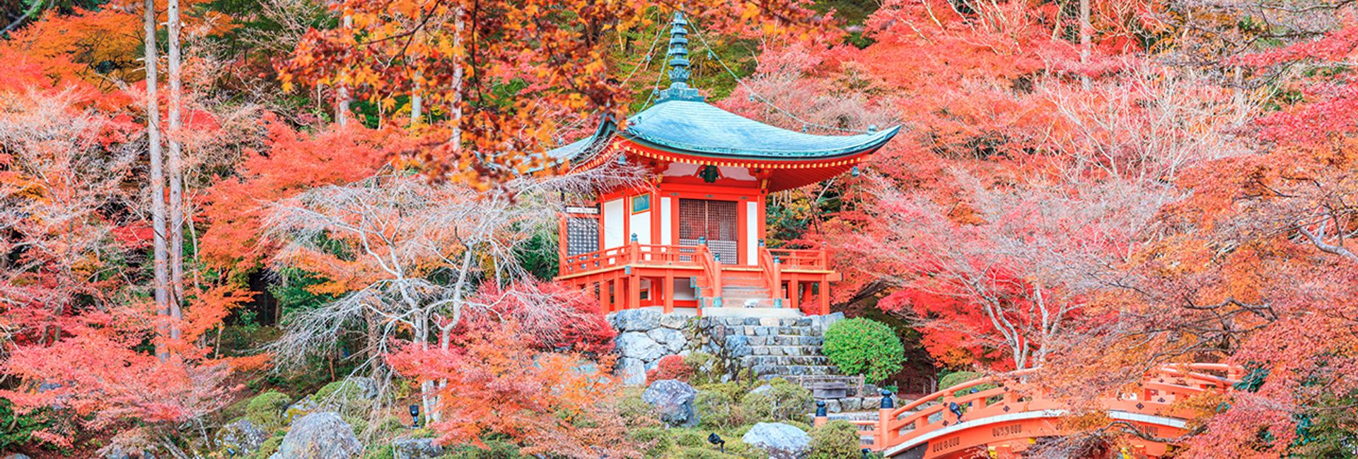 Hướng dẫn khám phá trọn vẹn Tokyo chỉ trong 2 ngày