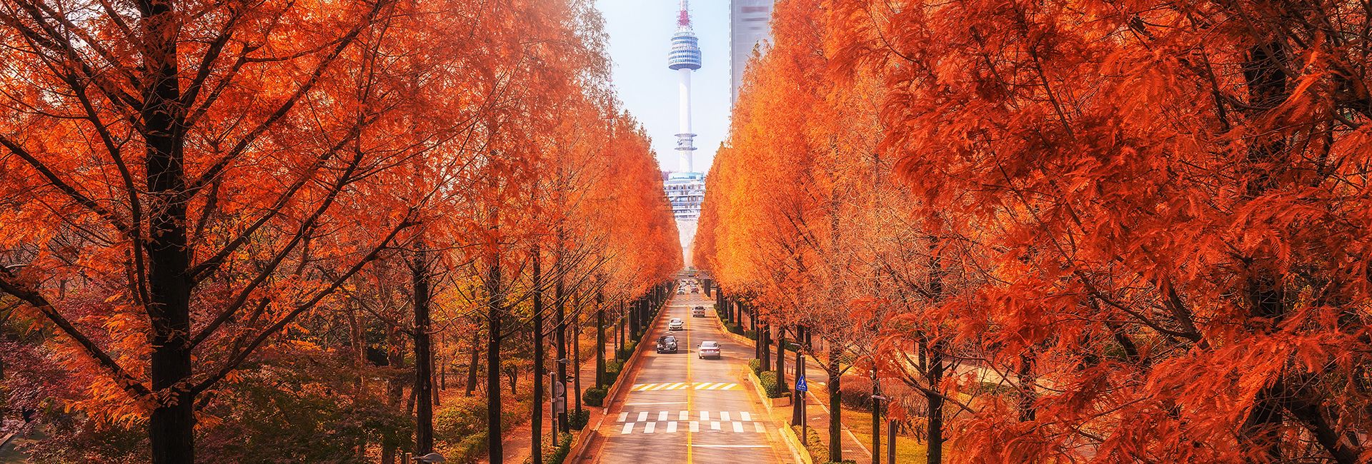 Nên đi du lịch Seoul vào thời điểm nào trong năm?