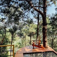 justfly nha to chim debay villa soc son
