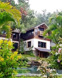 thiet ke amaya home homestay soc son ha noi 