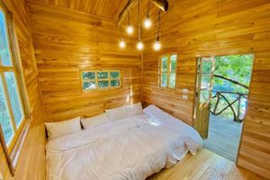 ba vi treehouse homestay