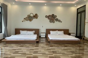maii house soc son ha noi