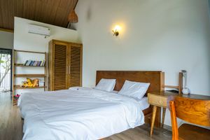 justfly can vip myan maison ba vi ha noi