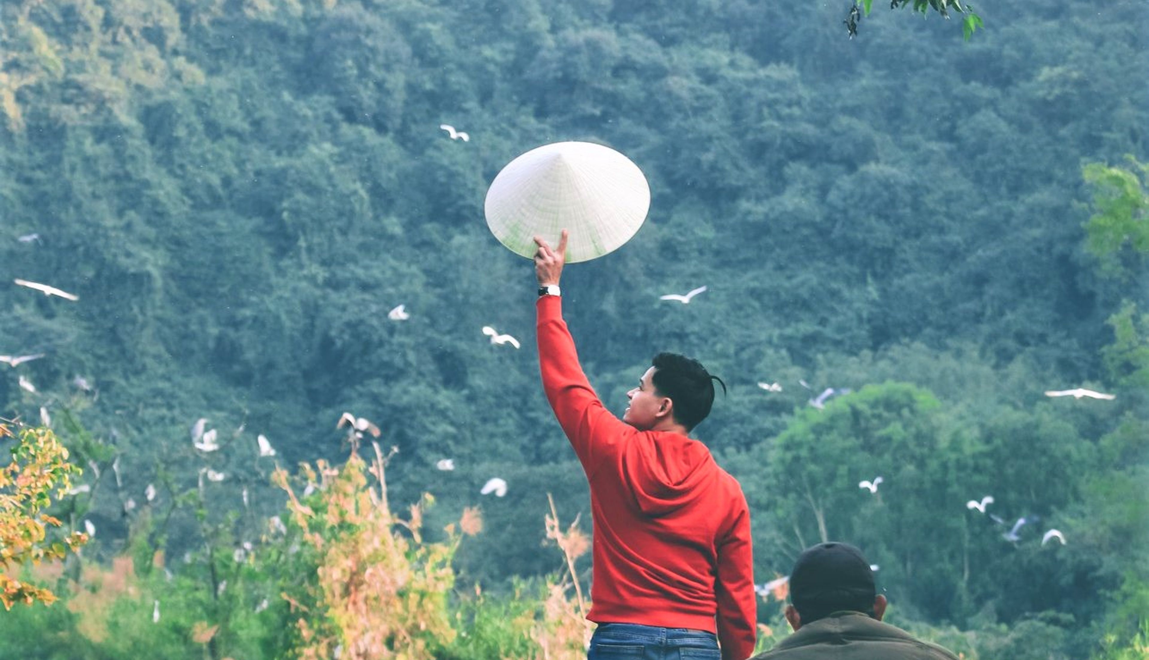 justfly thung nham bird park ninh binh