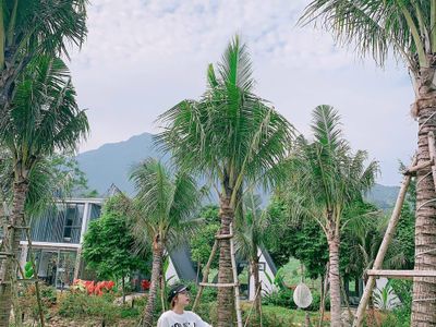 goc-chup-villa-18-tan-view-bungalow-villa-homestay-ba-vi-ha-noi-01