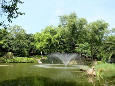 khu du lich sinh thai long viet ba vi ha noi