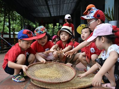 khu du lich sinh thai ban rom 