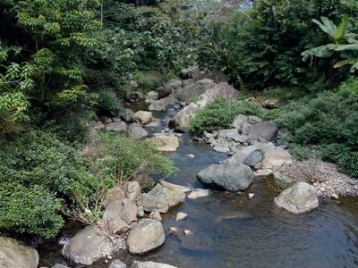 cuu thac tu son kim boi hoa binh