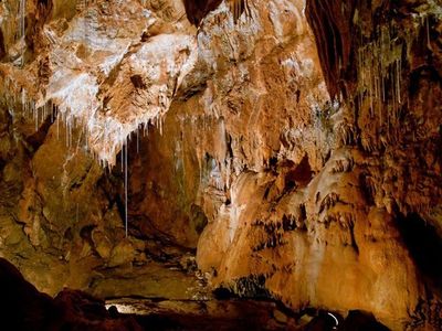 dong da bac luong son hoa binh